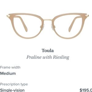 Warby Parker toula